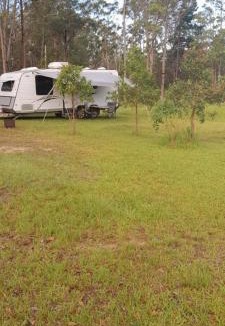 Cedar Party Other | Caravan Capers