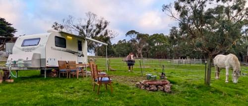 Limonite Other | Caravan Escape at Galahad's Animal Sanctuary