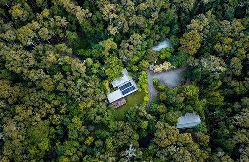 Lake Eacham Cabin | Chambers Wildlife Rainforest Lodges
