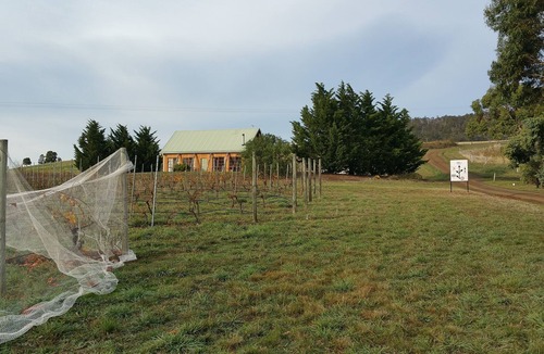 Tea Tree Cottage | Charles Reuben Estate