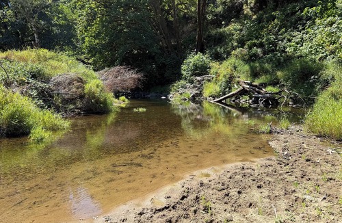 Florence RV Rental | Charming riverfront campground on the Oregon coast ready to relax in nature