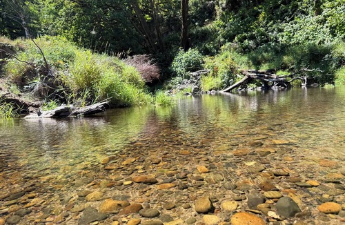 Florence RV Rental | Charming riverfront campground on the Oregon coast ready to relax in nature