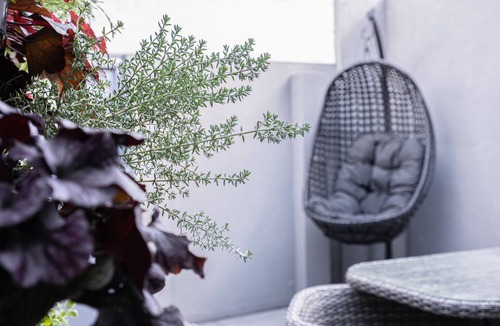 Southbank Cottage | Charming South Melbourne terrace PRIVATE BACKYARD