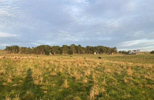 Mount Fairy Apartment | Cherry Tree - Merigan Farm Stay - Bungendore - Mount Fairy
