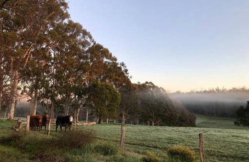 Dingup House | Cherswood Farm