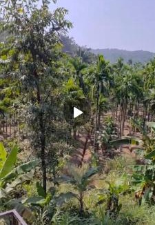 Karwar House | Chinchmakki