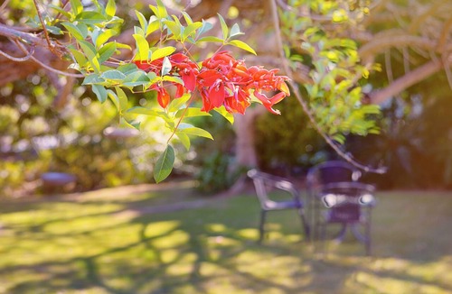 Coffs Harbour Hotel | Comfort Inn Premier