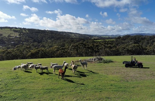 Yankalilla RV Rental | Completely off grid Glamping Domes