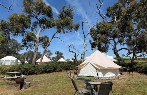 Comaum Resort | Coonawarra Bush Holiday Park