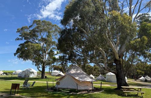Comaum Resort | Coonawarra Bush Holiday Park
