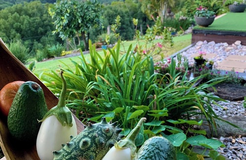Cooroy Cottage | Cooroy - Sunshine Ridge Eco Cottage - Garden Views - 25 mins to Noosa Heads -