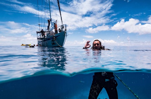 Cairns Central Business District Boat Rental | Coral Sea Dreaming Dive and Sail