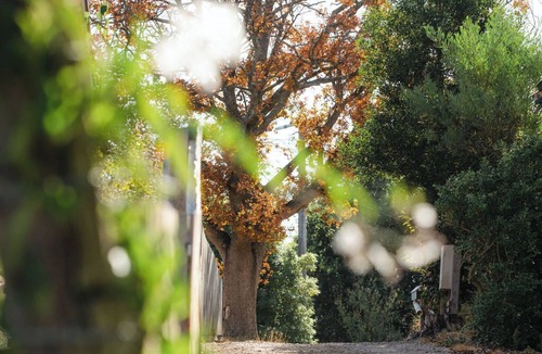 Korumburra Apartment | Cosy container house walking distance to town.