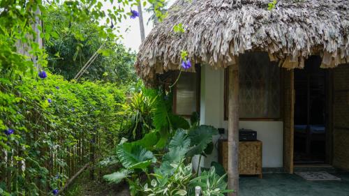 Havelock Island House | Cozy Beach Cottage Next to Full Moon Café