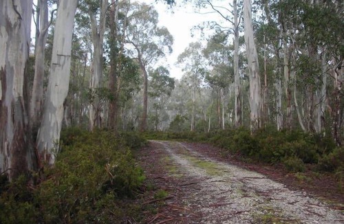 Cradle Mountain House | Cradle Cave Cradle Mountain