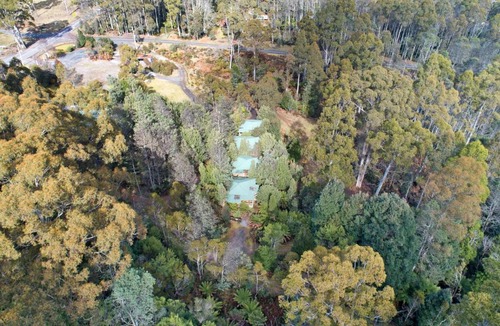 Moina Hotel | Cradle forest inn