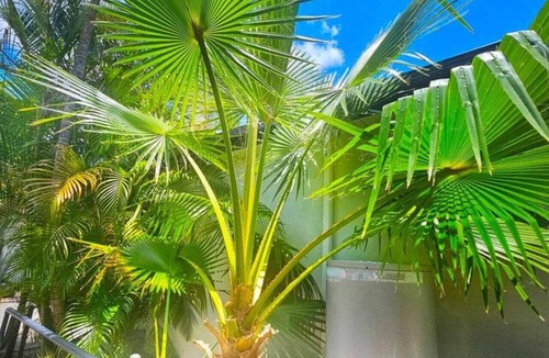 Emerald House | Cypress Caravan Stay