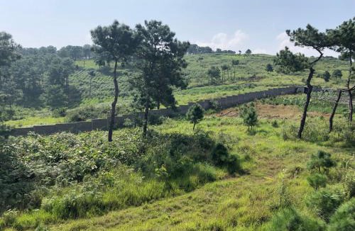 Shillong House | Da Blanche