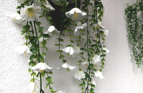 Vagator Apartment | Daffodil Room no 2