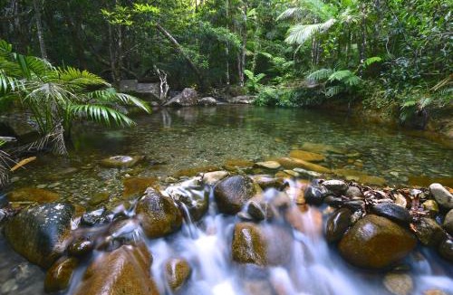 Diwan House | Daintree Cascades