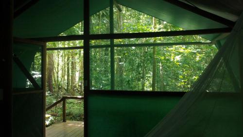 Cow Bay Cabin | Daintree Crocodylus