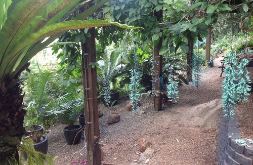 Diwan House | Daintree Holiday Homes - The Folly - Nature Retreat Daintree
