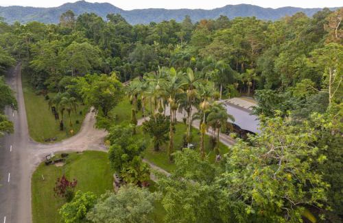 Diwan Cabin | Daintree Siesta