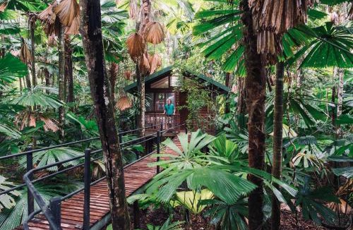 Diwan Resort | Daintree Wilderness Lodge