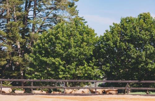 Seville Bed & Breakfast | Dalblair Bed & Breakfast
