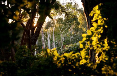 Mylor House | Delphi, Adelaide Hills Garden BnB