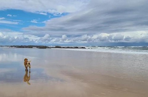 Diamond Beach Resort | Diamond Beach Resort, Mid North Coast NSW