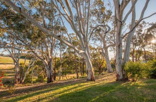 Hahndorf Resort | Discovery Parks - Hahndorf