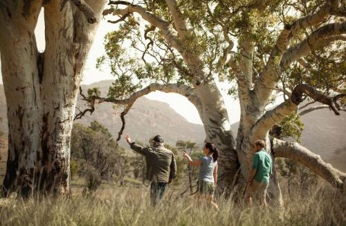 Wilpena Hotel | Discovery Resorts - Wilpena Pound