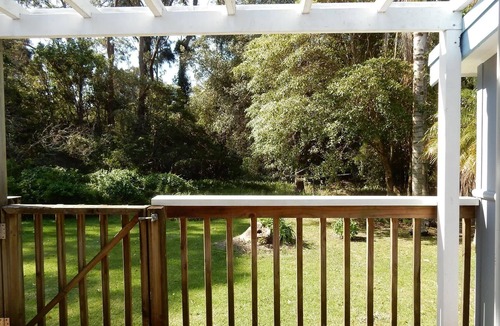 Mollymook Beach Apartment | Donlan's Beach Shack