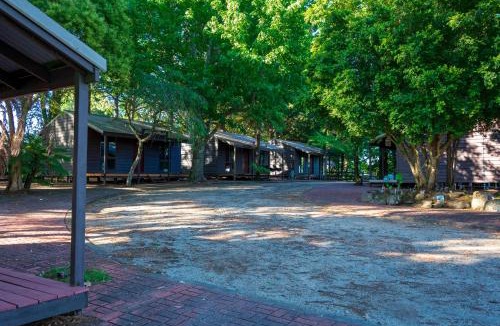 Dorrigo Other | Dorrigo Mountain Holiday Park