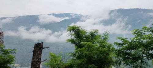 Mohal Villa | Dream destination