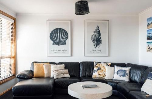 Scamander House | Drift - Watch the world go by