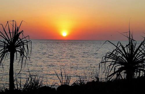 Dundee Beach Resort | Dundee Beach Holiday Park