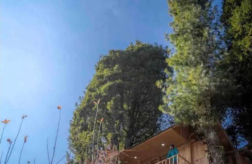 Banjar Ski Chalet | DUPLEX TREEHOUSE- TANDI -WIFI