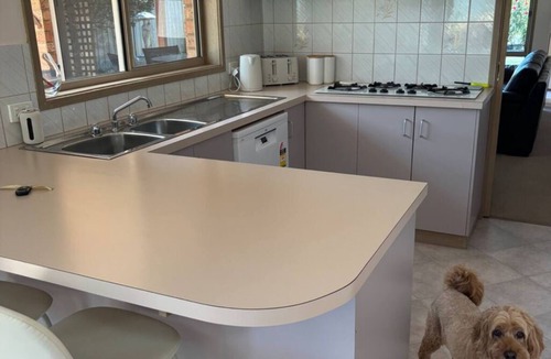 Echuca House | Echuca's Pawfect Accomodation