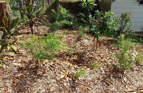 Point Lookout House | Eclectic Paradise, Large House - Prime Beachside Location ocean side of main rd