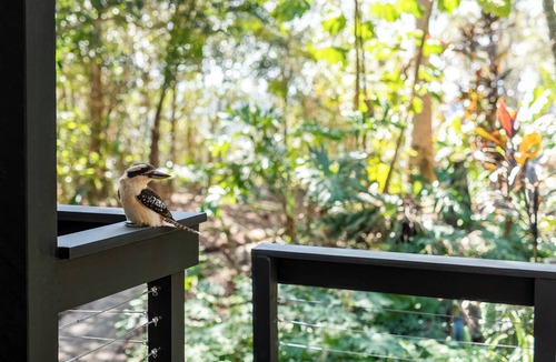 Montville House | Elevata Villa Retreat Montville with Magnesium Spa, Wood Fire, Privacy in Nature