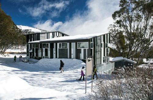 Falls Creek Cabin | Elk at Falls