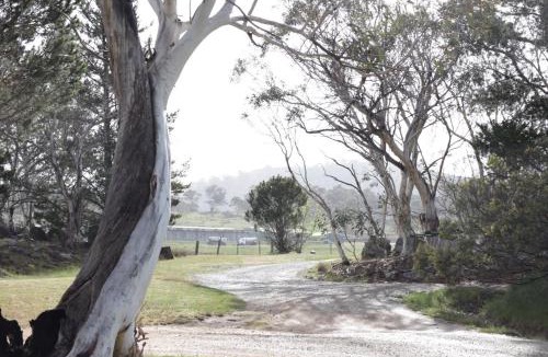 Jindabyne House | Emu Rest Touchdown Cottages