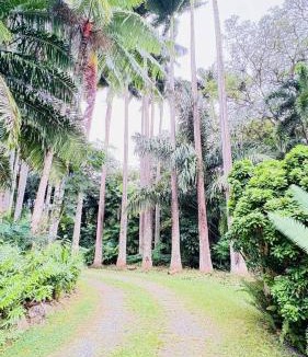 Mowbray House | Enchanted Garden Escape