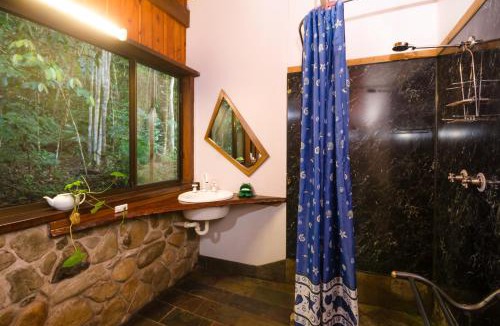 Cow Bay Bed & Breakfast | Epiphyte B & B