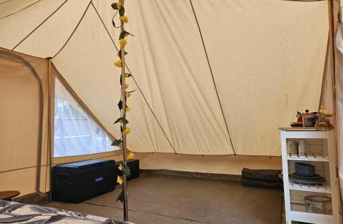 Eureka Other | Eureka Station Camping Retreat