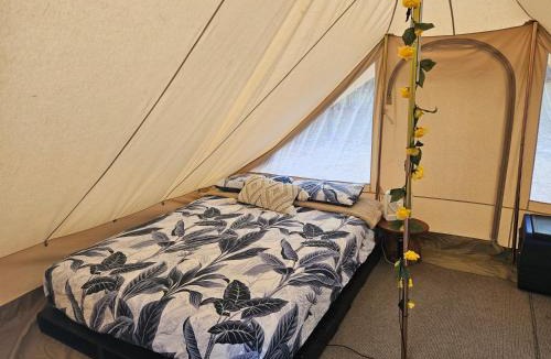 Eureka Other | Eureka Station Camping Retreat