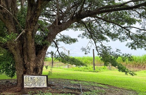 Foxdale House | Feng Shui Sugarcane Cabin