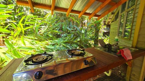 Cape Tribulation Cabin | Ferntree Rainforest Lodge